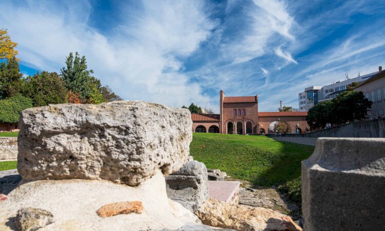 Romkert_Molnar_David_Z62_5524