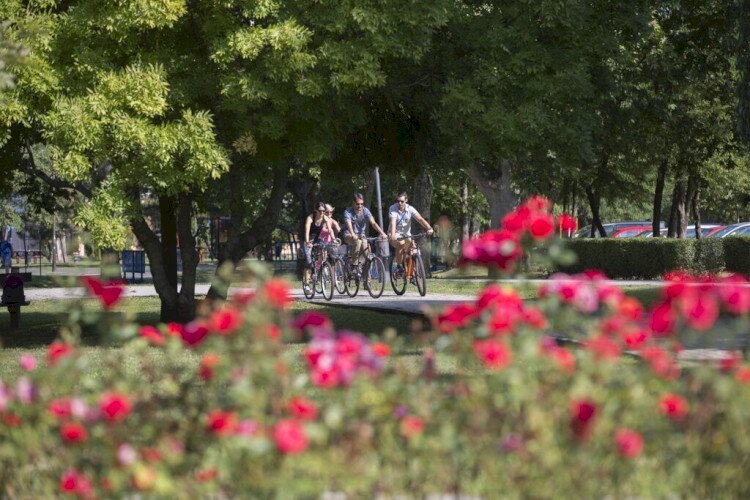 Kerékpárral a zöldbe!