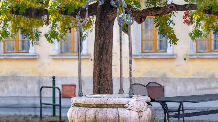 Maulbertsch-Well