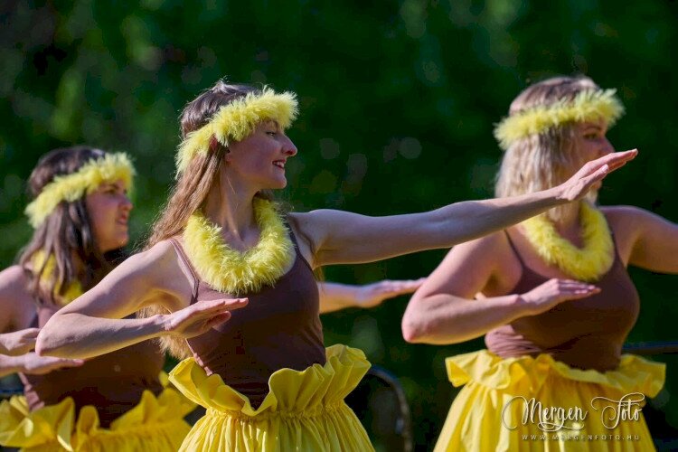 Studio of Polynesian dances (hawaii and tahiti dances) in front of Mercure Hotel Magyar Király - 24 July 19:00