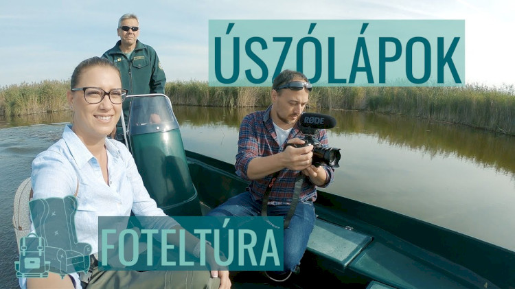 Úszólápok - Foteltúra 7.