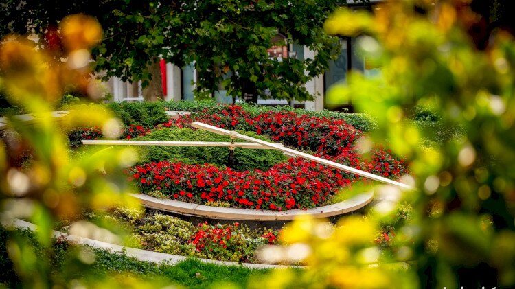 Flower Clock