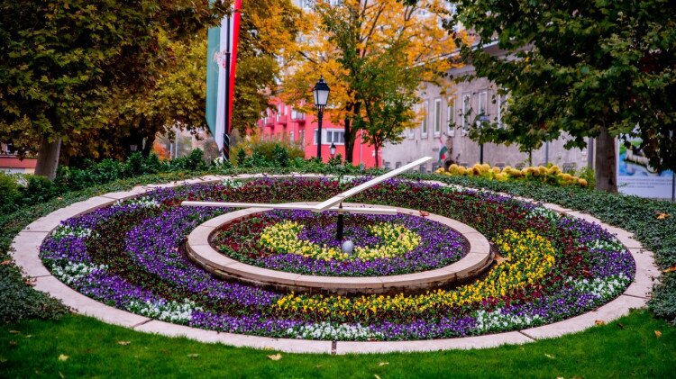 Flowerclock