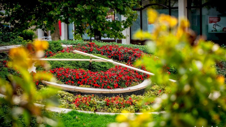Flower Clock